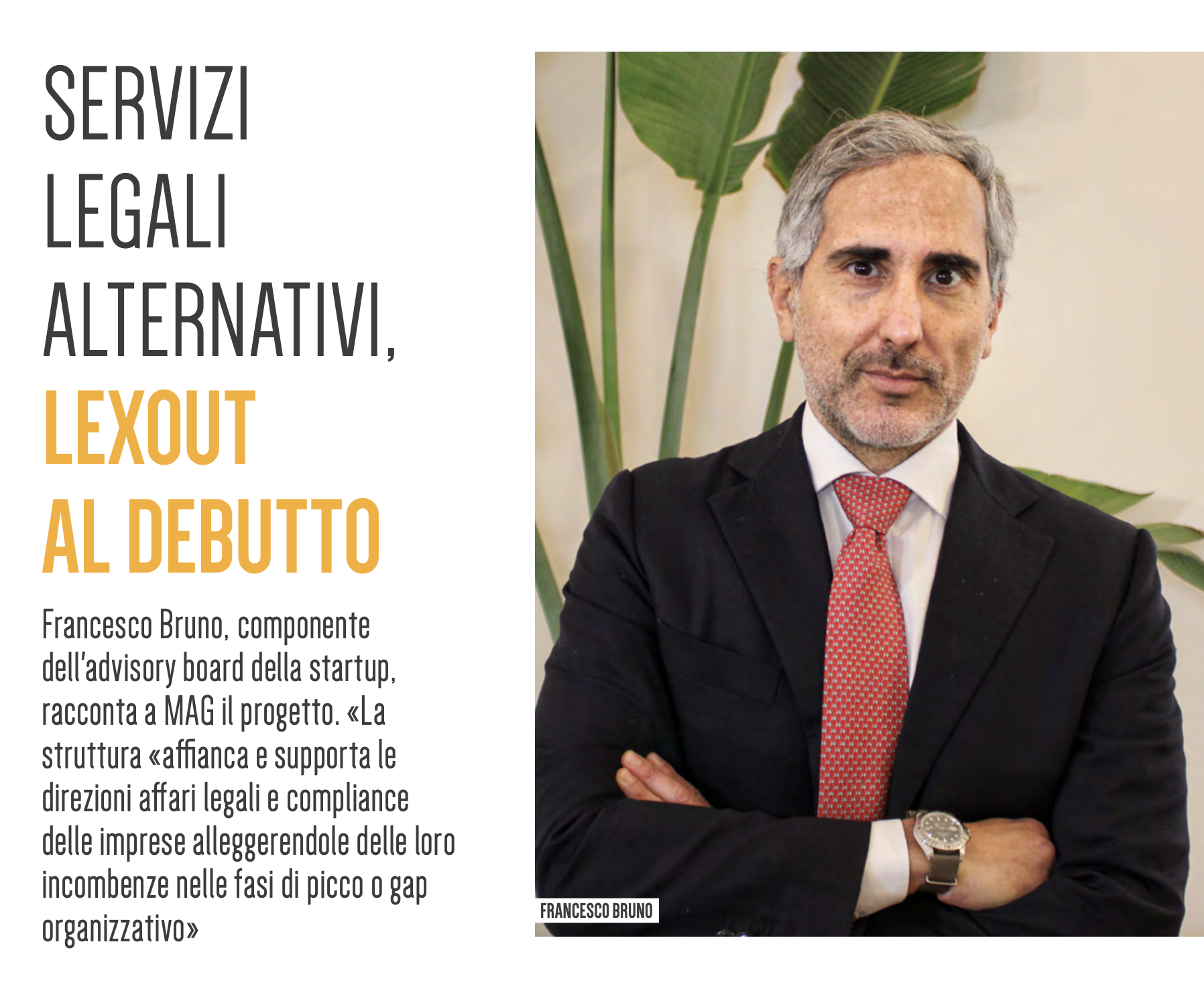 Lexout su «MAG», Francesco Bruno: «L’obbiettivo è supportare le imprese alleggerendole dalle incombenze»